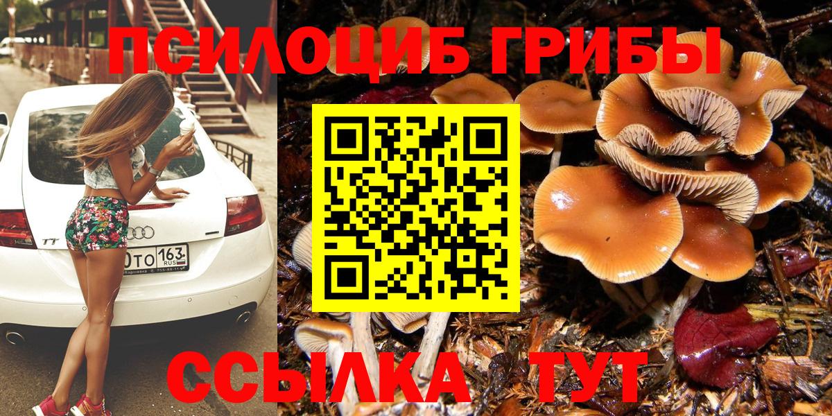 Псилоцибиновые грибы прущие грибы Бийск