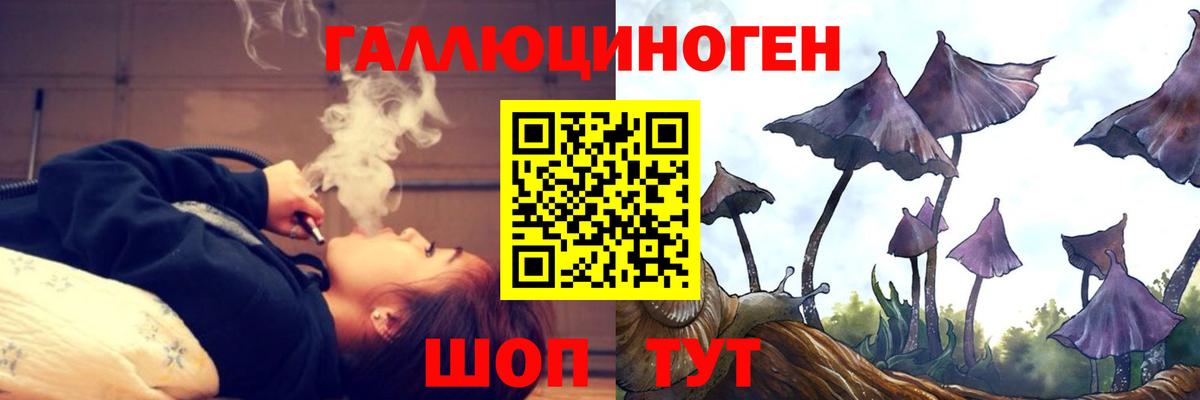 Галлюциногенные грибы Psilocybe  Вход с VPN  Бийск 